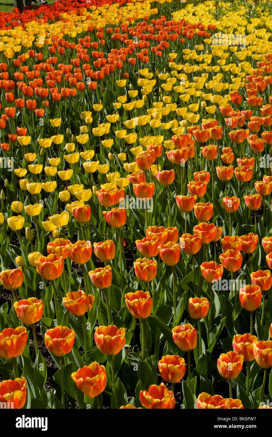 Foto von britzer garten Fotos und Bildmaterial in hoher Auflösung Alamy
