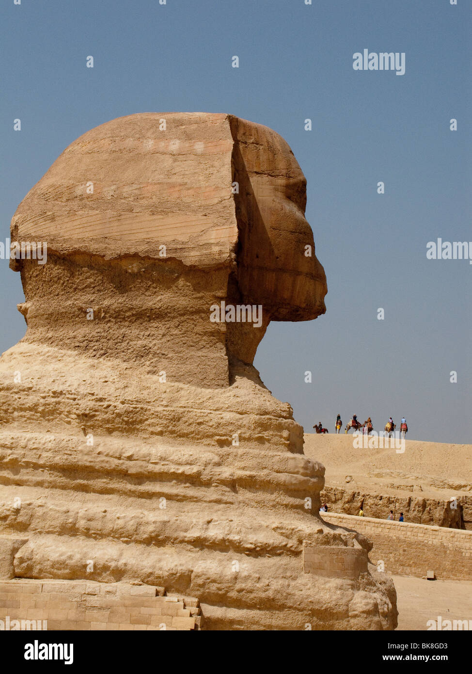 Große Sphinx von Gizeh, Kairo, Ägypten Stockfoto