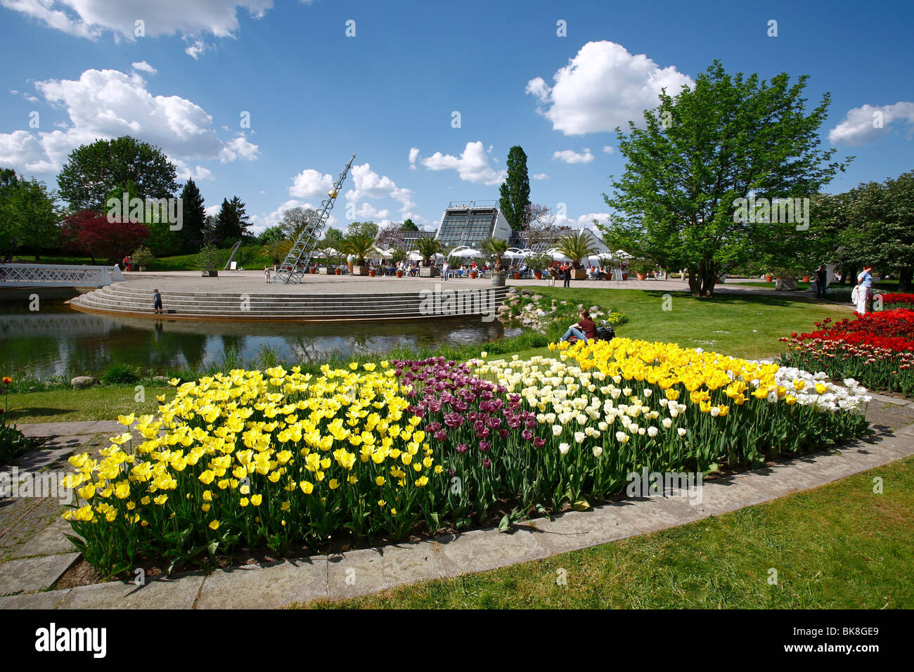 Tulipan, blühen Tulpen in der Kalenderplatz quadratisch, Britzer Garten