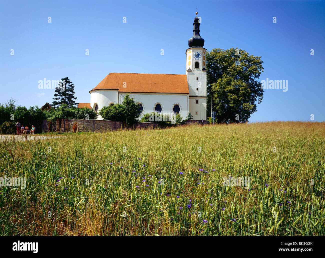 Wallfahrtskirche Maria Himmelfahrt, Weissenregen, Gemeinschaft von Koetzting, Bayerischer Wald, Oberpfalz, Bayern Stockfoto