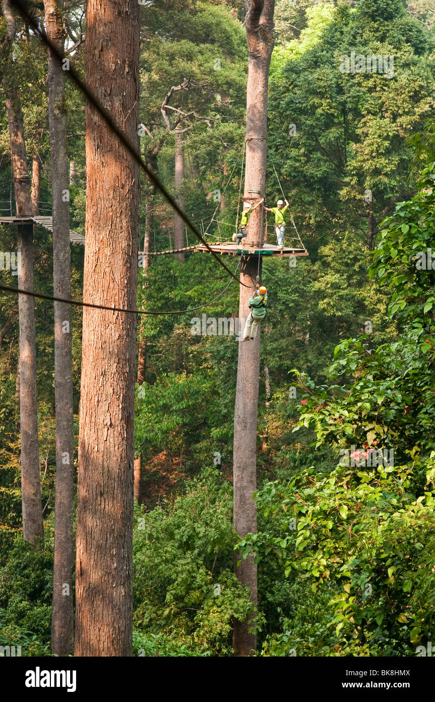 Dschungel-Flug-Zip-Line und Wald canopy Tour, Chiang Mai, Thailand. Stockfoto