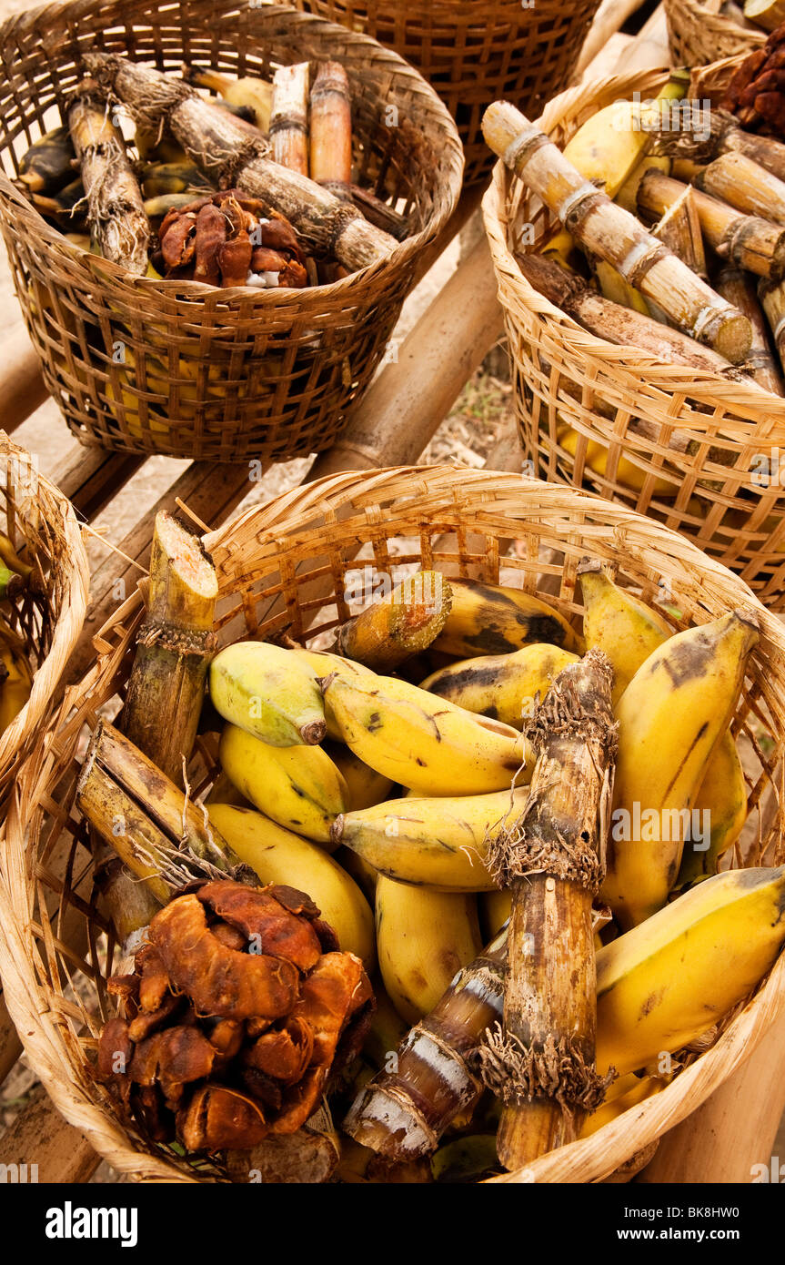 Körbe mit Nahrung für Elefanten - Bananen, Zuckerrohr und Tamarinde - Patara Elefanten Farm; Provinz Chiang Mai, Thailand. Stockfoto