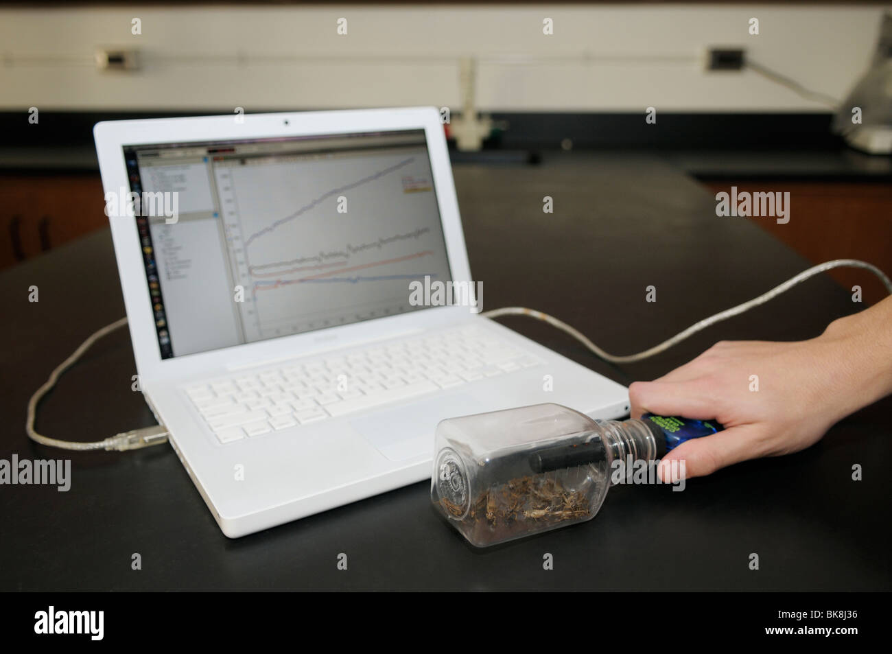 Computer-Interface Kohlendioxid-Sensor Messung CO2 im Laufe der Zeit durch aerobe Atmung von Grillen. Stockfoto