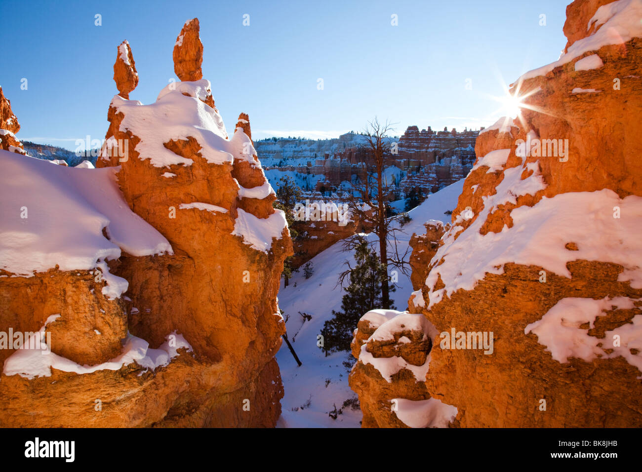 Hoodoos steigen auf allen Seiten des Bryce Canyon Nationalpark Queens Garden Trail im südlichen Utah. Stockfoto