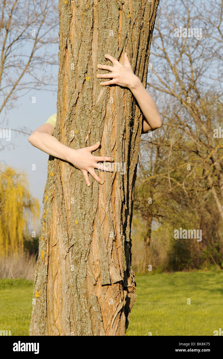 Arme umarmen Baum - Konzept von menschlicher Obhut für den Naturschutz Stockfoto