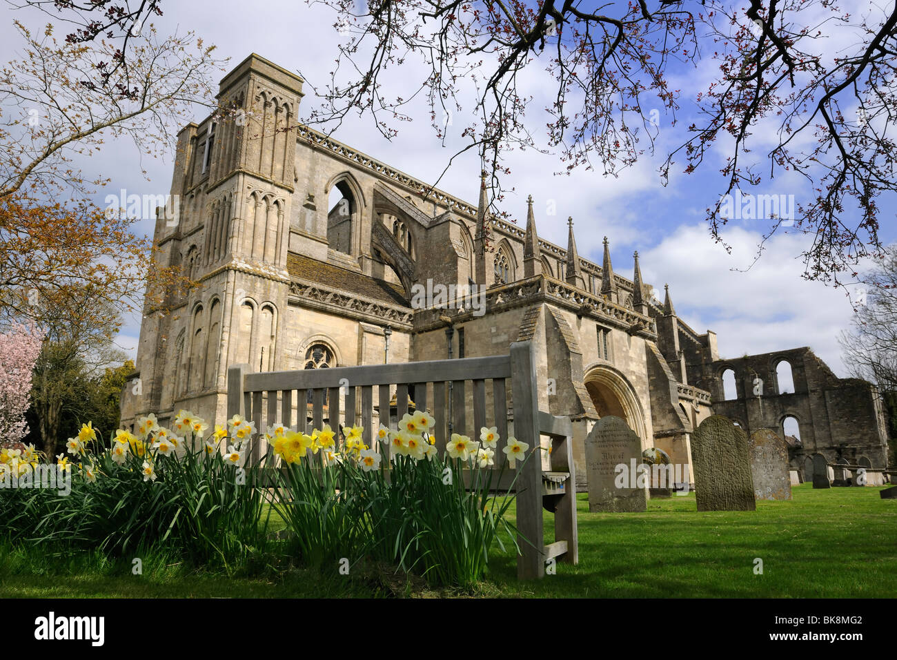 Malmesbury Abbey im Frühling Stockfoto