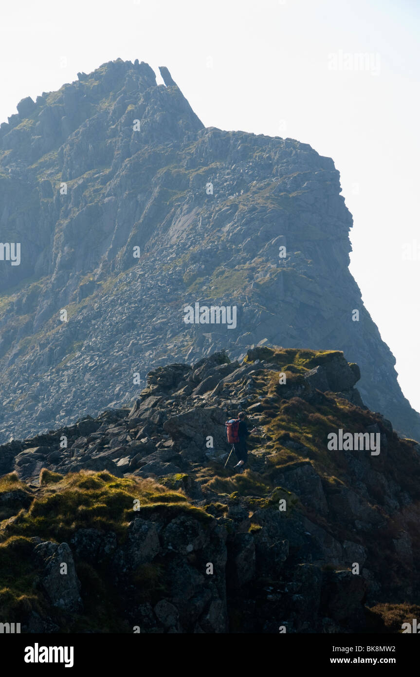 Die steilen Grat des Mynydd Drws-y-Studentin, Nantlle Ridge, Snowdonia, North Wales, UK Stockfoto