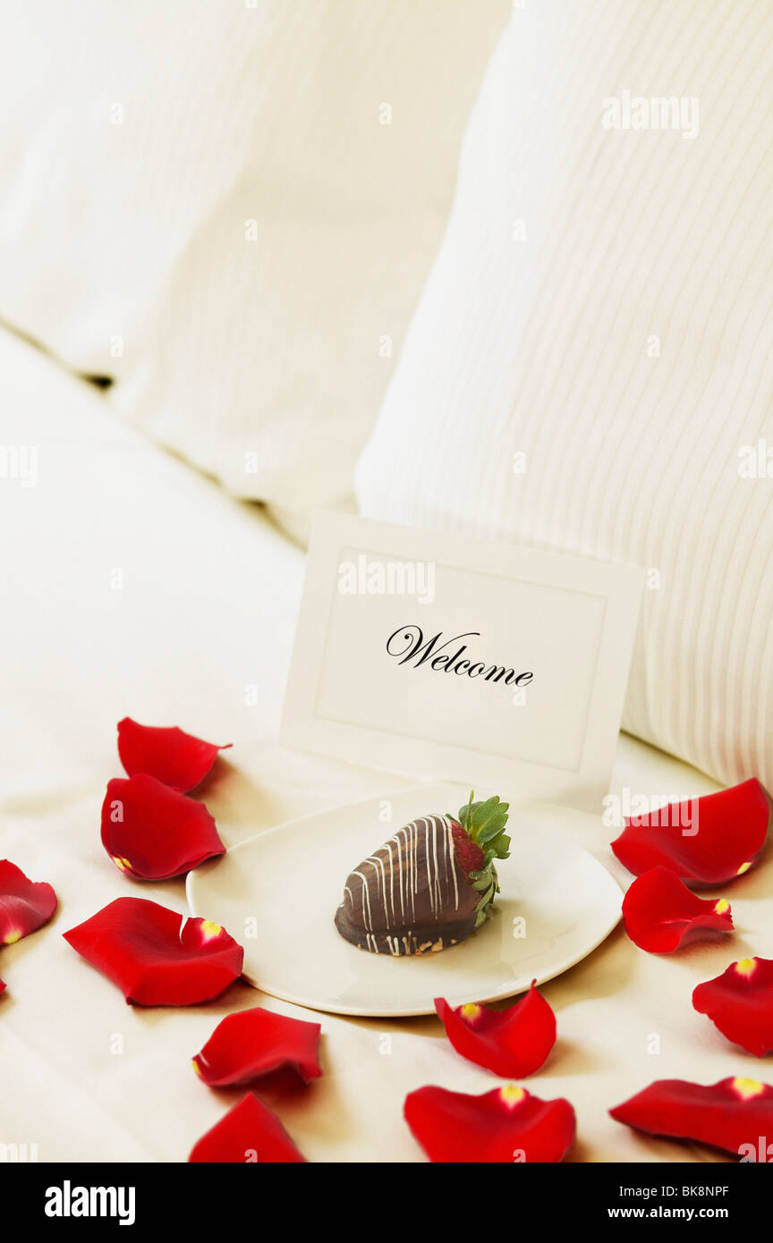 Schokolade getauchte Erdbeeren mit Rosenblüten auf dem Bett Stockfoto