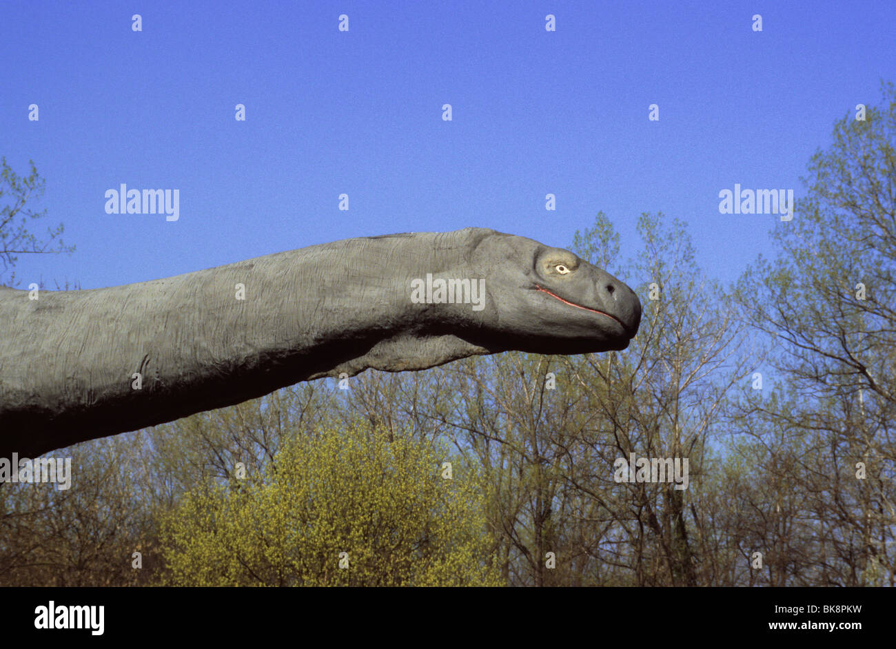 Brontosaurus, prähistorisches Park, Rivolta d ' Adda, Lombardei, Italien Stockfoto