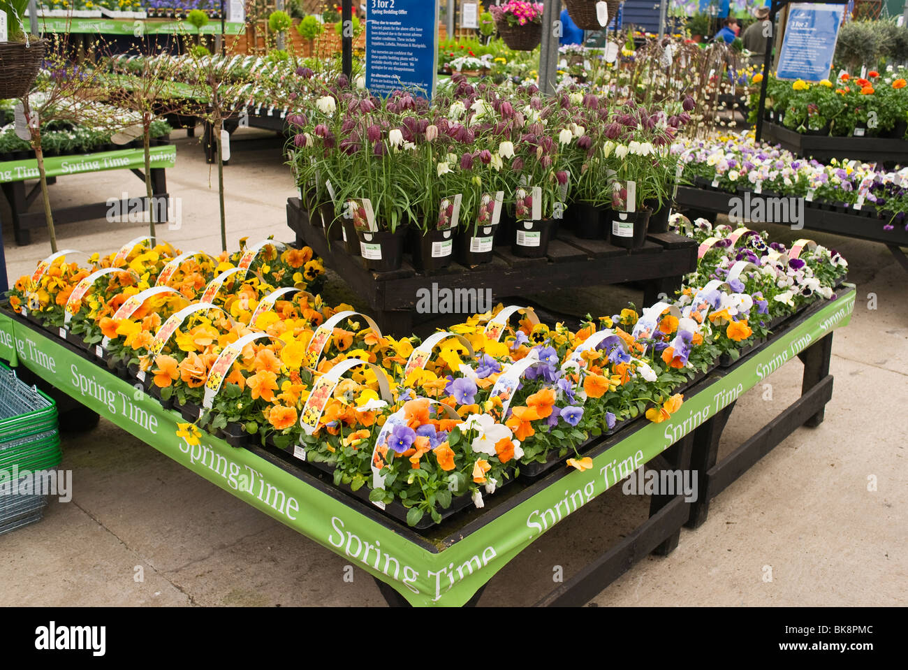 Ausstellung von Frühlingsblumen in Blooms 'Garden Center' UK. Das Unternehmen hat seitdem den Besitz geändert Stockfoto