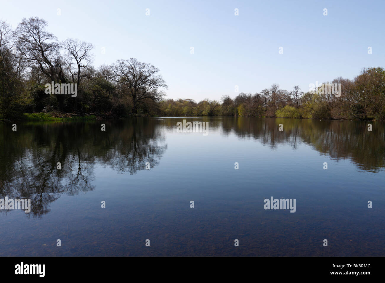 Der Barsch-Pool in Wanstead Park, London E12 Stockfoto