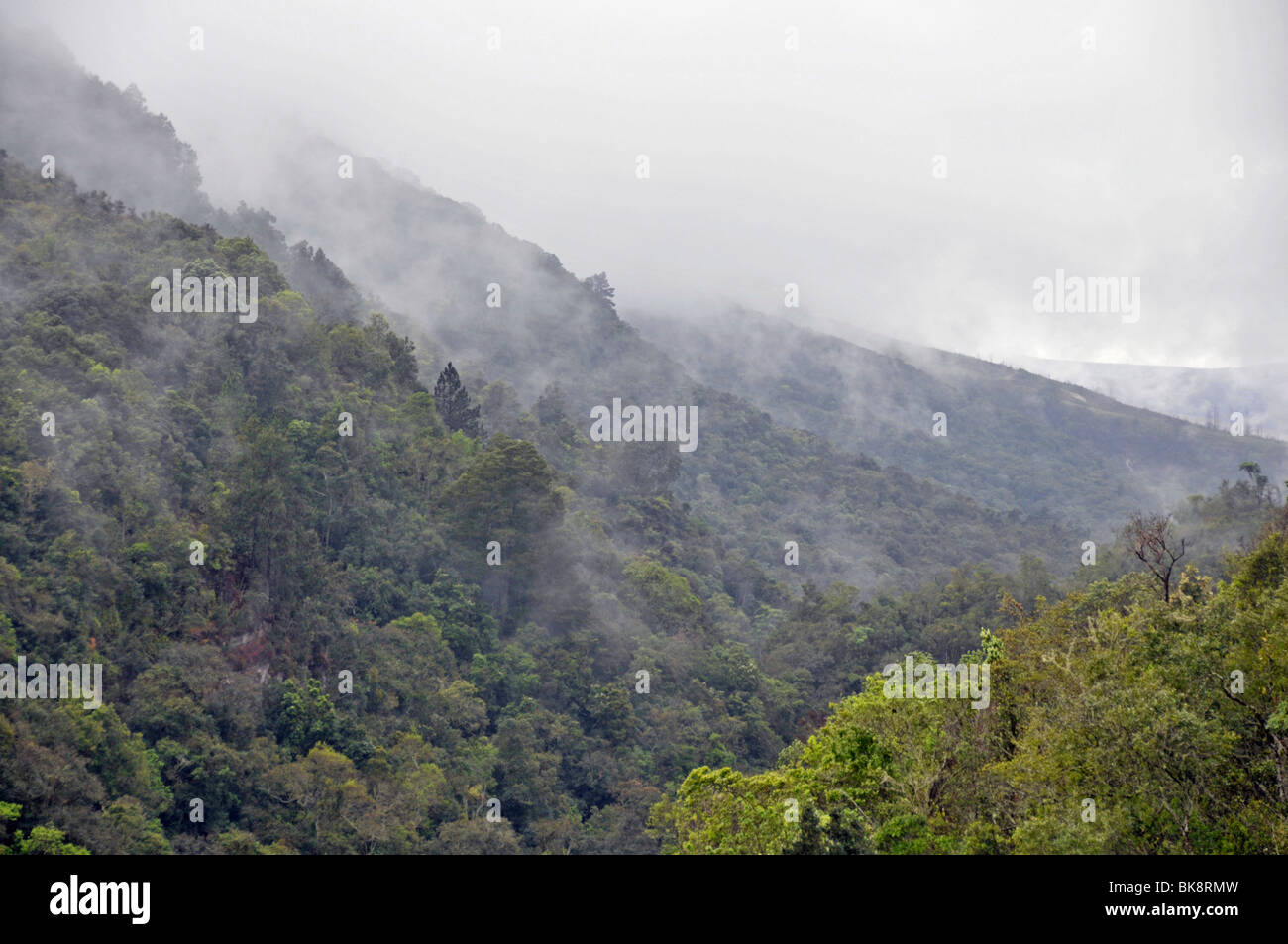 Nebel am Mac Mac Falls, Panorama Route, Provinz Mpumalanga, Südafrika, Afrika Stockfoto