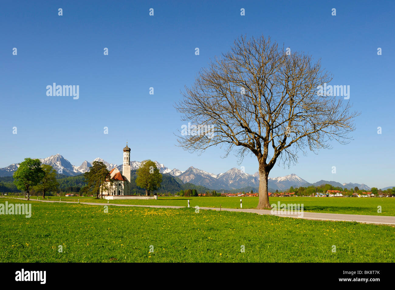 Wallfahrt der St. Coloman in der Nähe von Füssen, Thannheim Berge, Frühling, Ost-Allgäu, Allgäu, Bayern, Deutschland, Europa Stockfoto