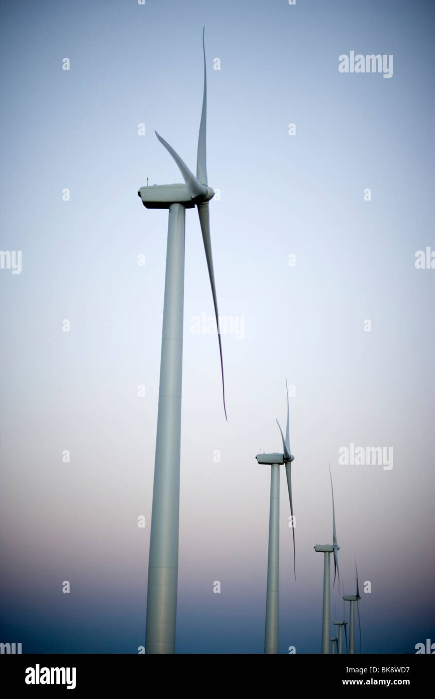 USA, Texas, Roscoe Grafschaft, West Texas Windkraftanlagen Stockfoto