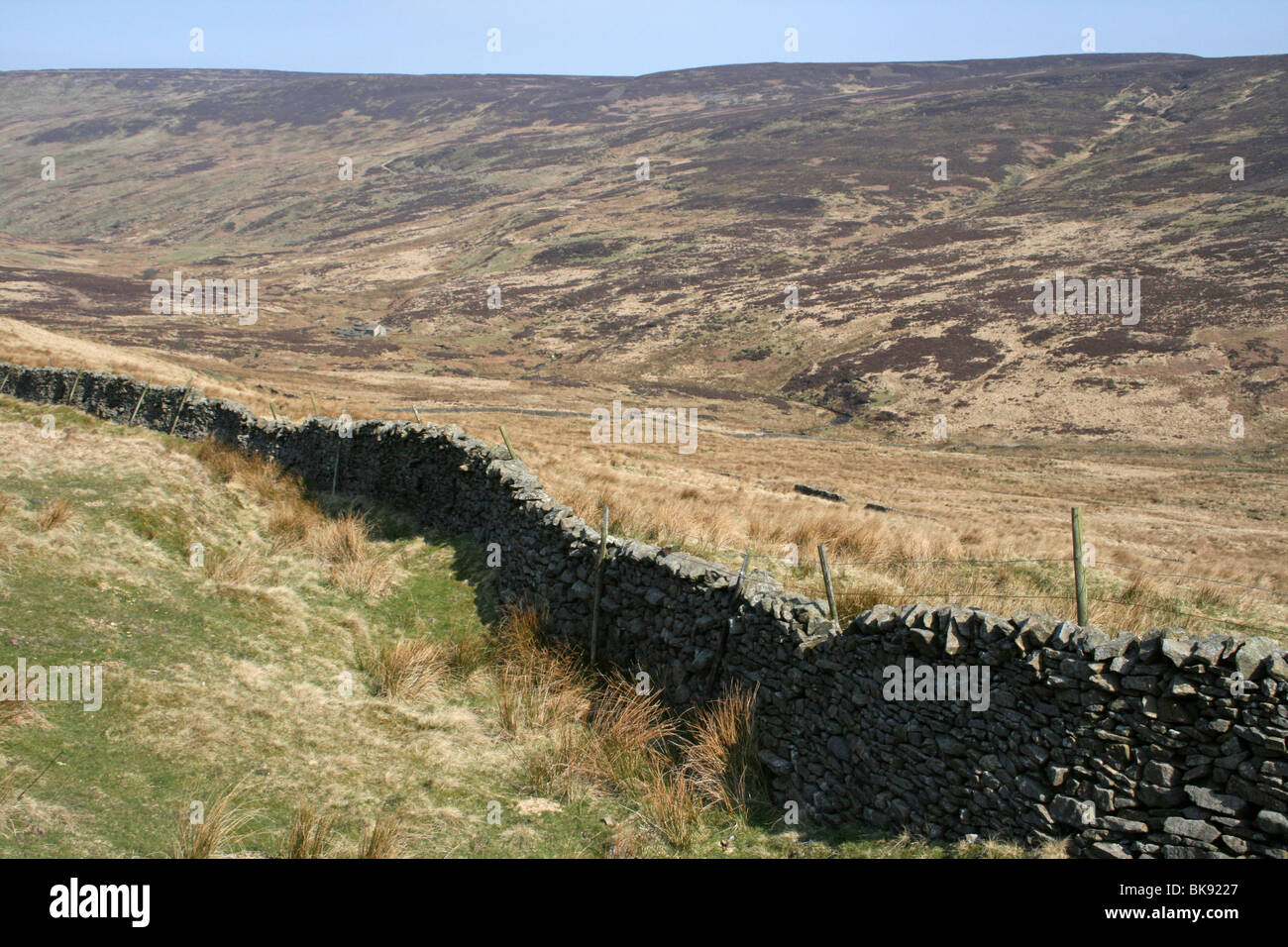 Trockenmauer auf Croasdale fiel, Wald von Bowland, Lancashire, UK Stockfoto