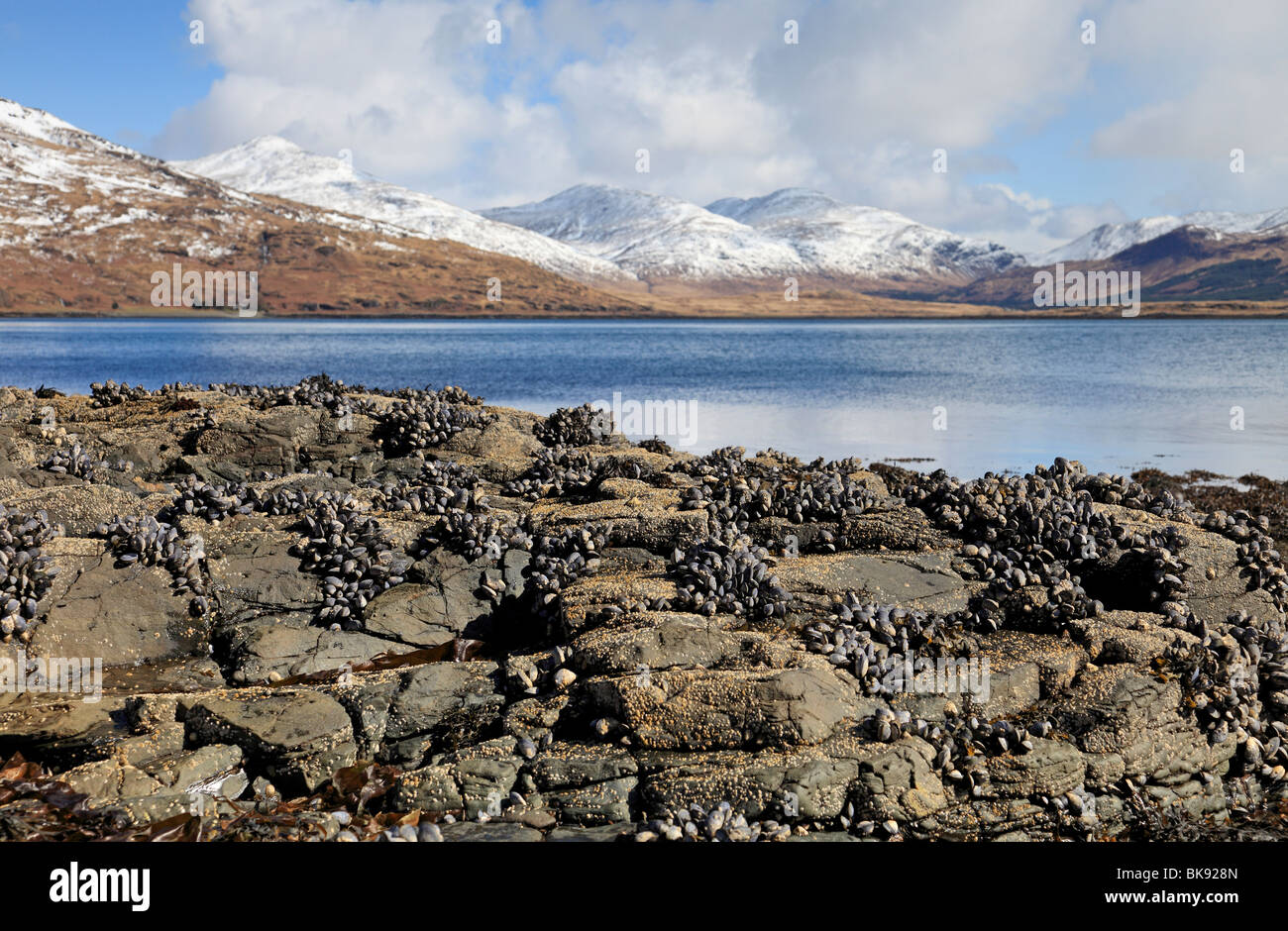 Schöne Frühlingstag von Loch betteln, mit Blick auf Ben More, Isle of Mull, Schottland Stockfoto