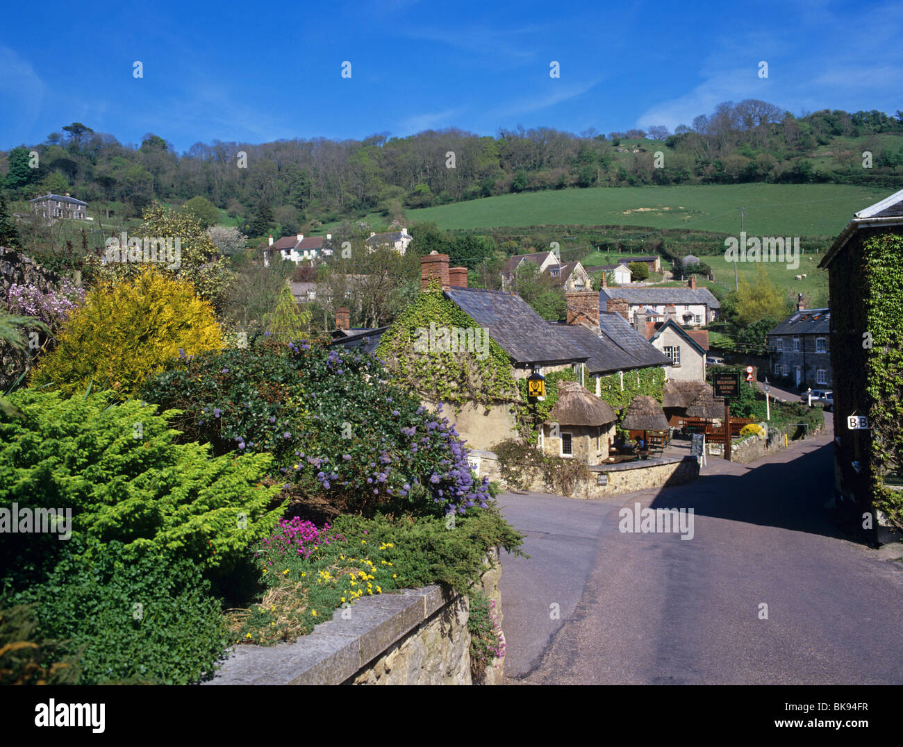 Branscombe - malerisches Dorf Straßenszene zeigen die Masons Arms Stockfoto