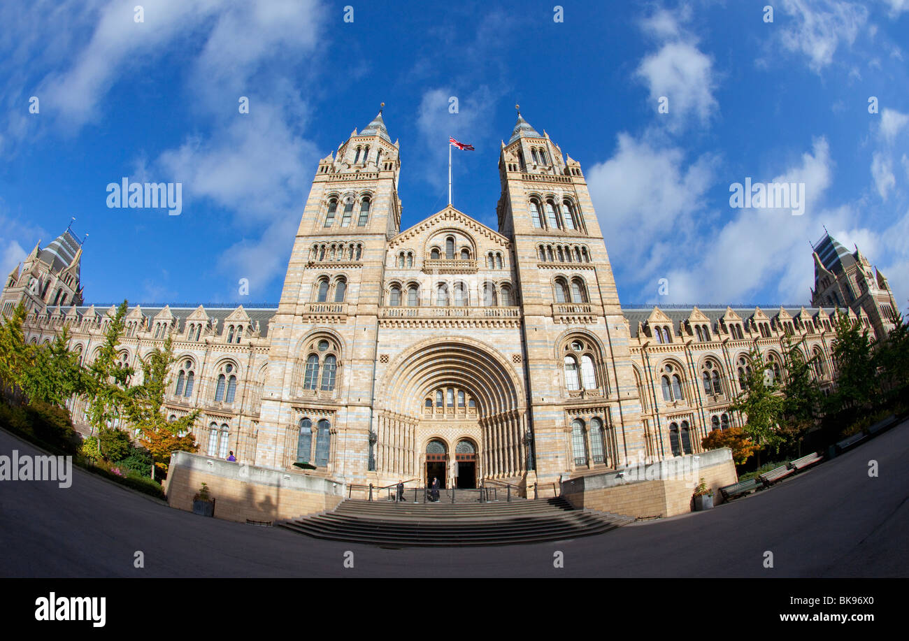 Fassade des ein Museum, Natural History Museum, Ausstellung Road, Kensington, London, England Stockfoto