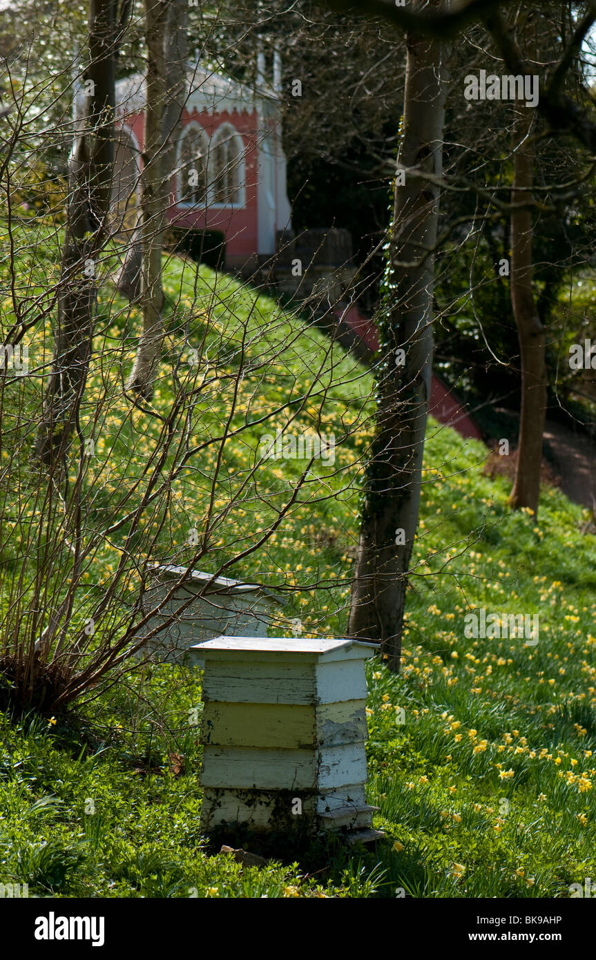 Bienenstöcke und Narzissen im Garten Painswick Rokoko in die Cotswolds Stockfoto