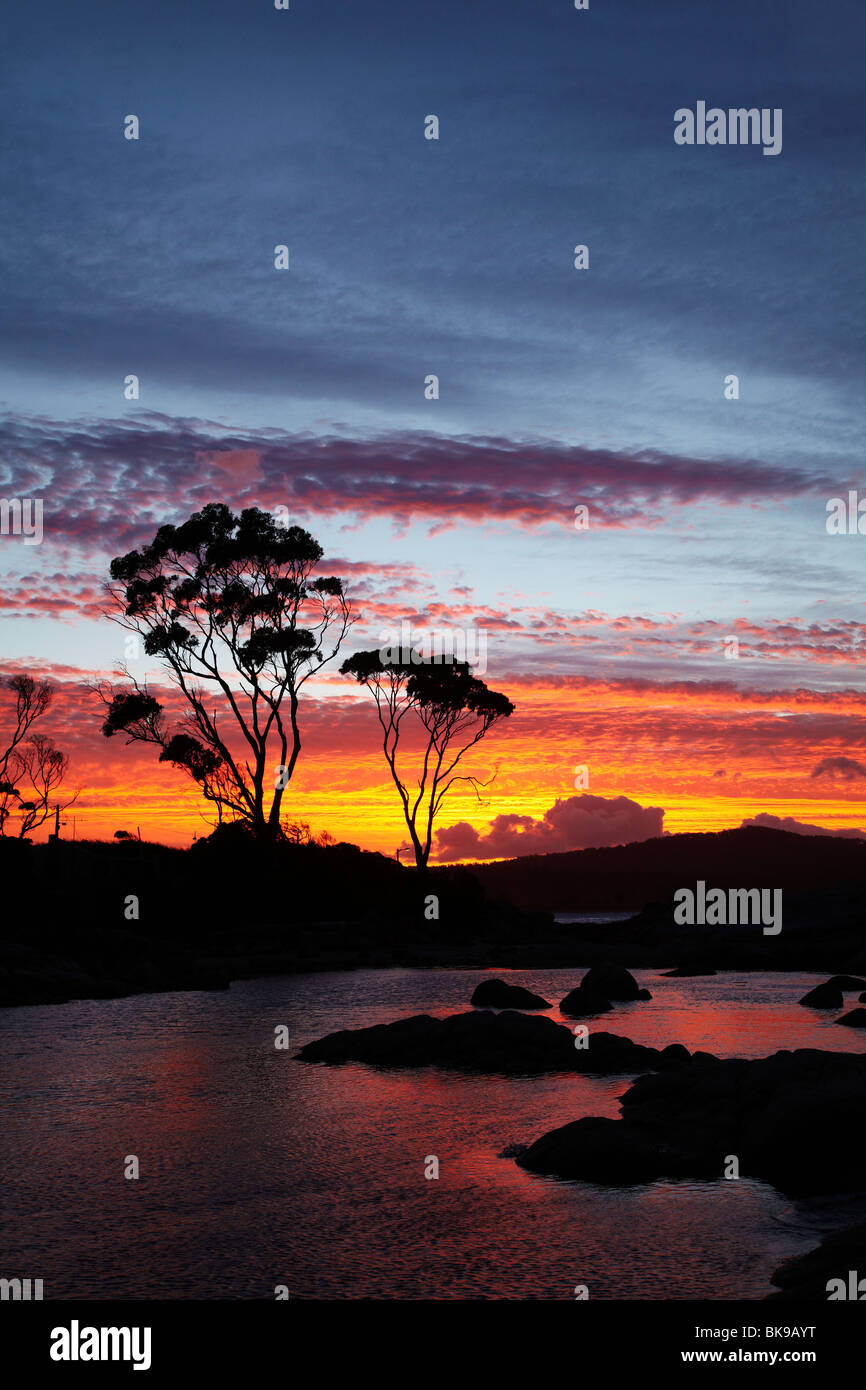 Sonnenuntergang und Gum Tree, Binalong Bucht, Bucht von Bränden, östlichen Tasmanien, Australien Stockfoto