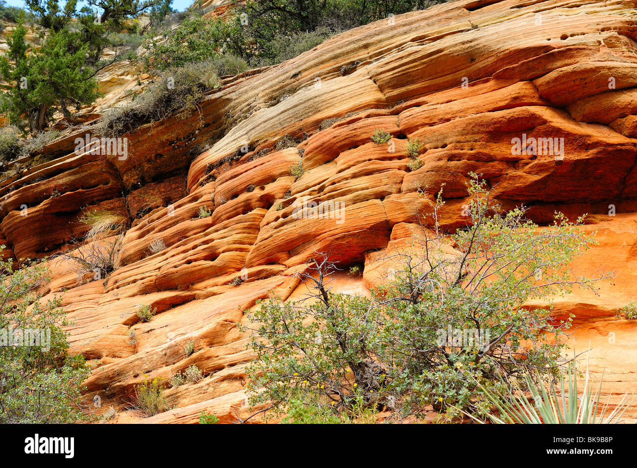 Felsen auf dem Weg zum Aussichtspunkt im Zion Nationalpark, Utah, USA Stockfoto