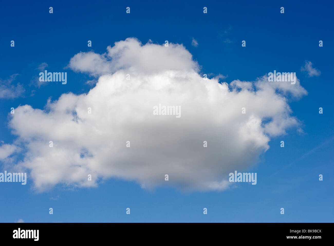 Eine einzelne Kumuluswolke in einem klaren blauen Himmel im Frühjahr Stockfoto