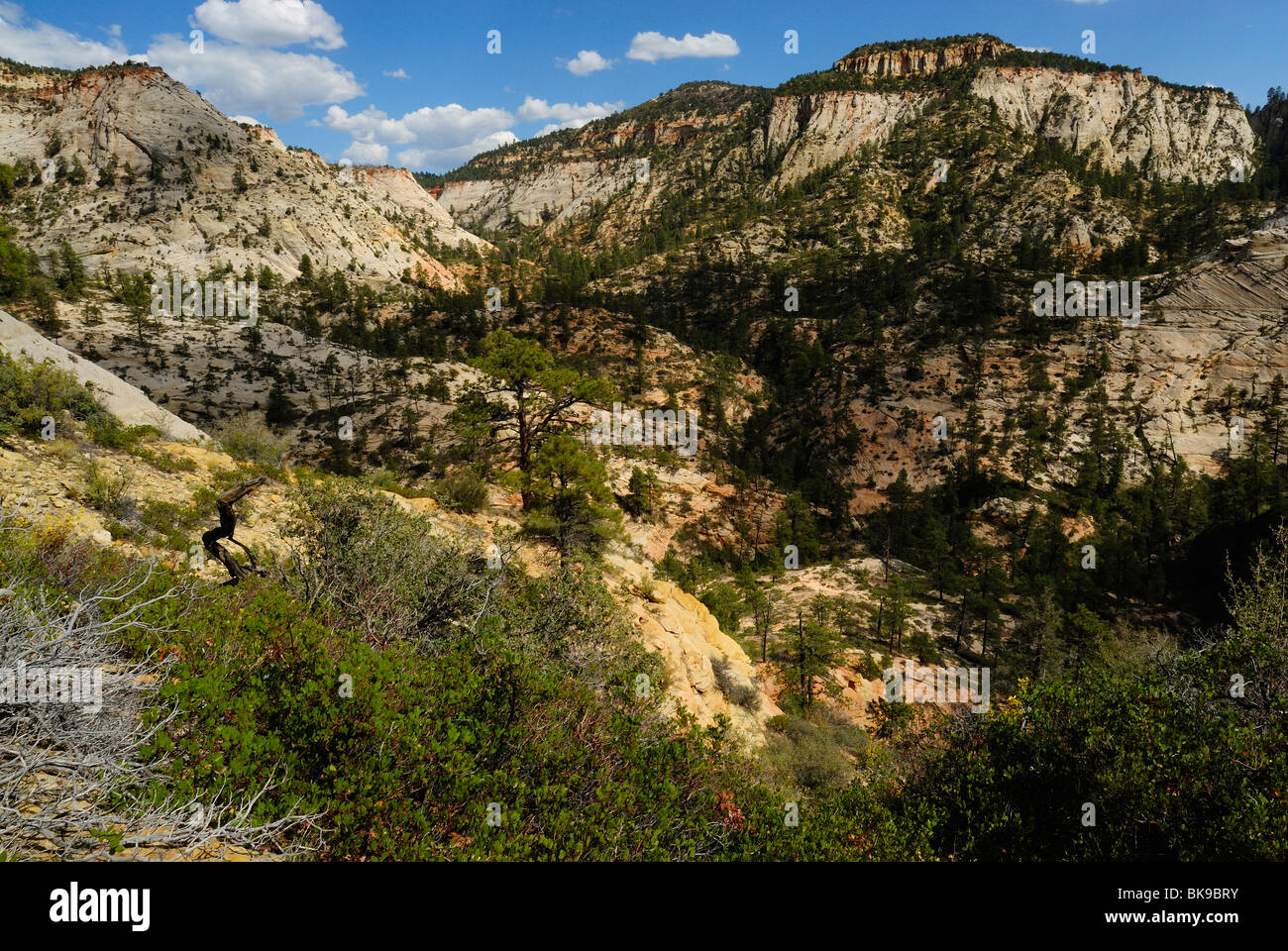 Malerische Aussicht auf Zion Canyon vom Aussichtspunkt im Zion Nationalpark, Utah, USA Stockfoto