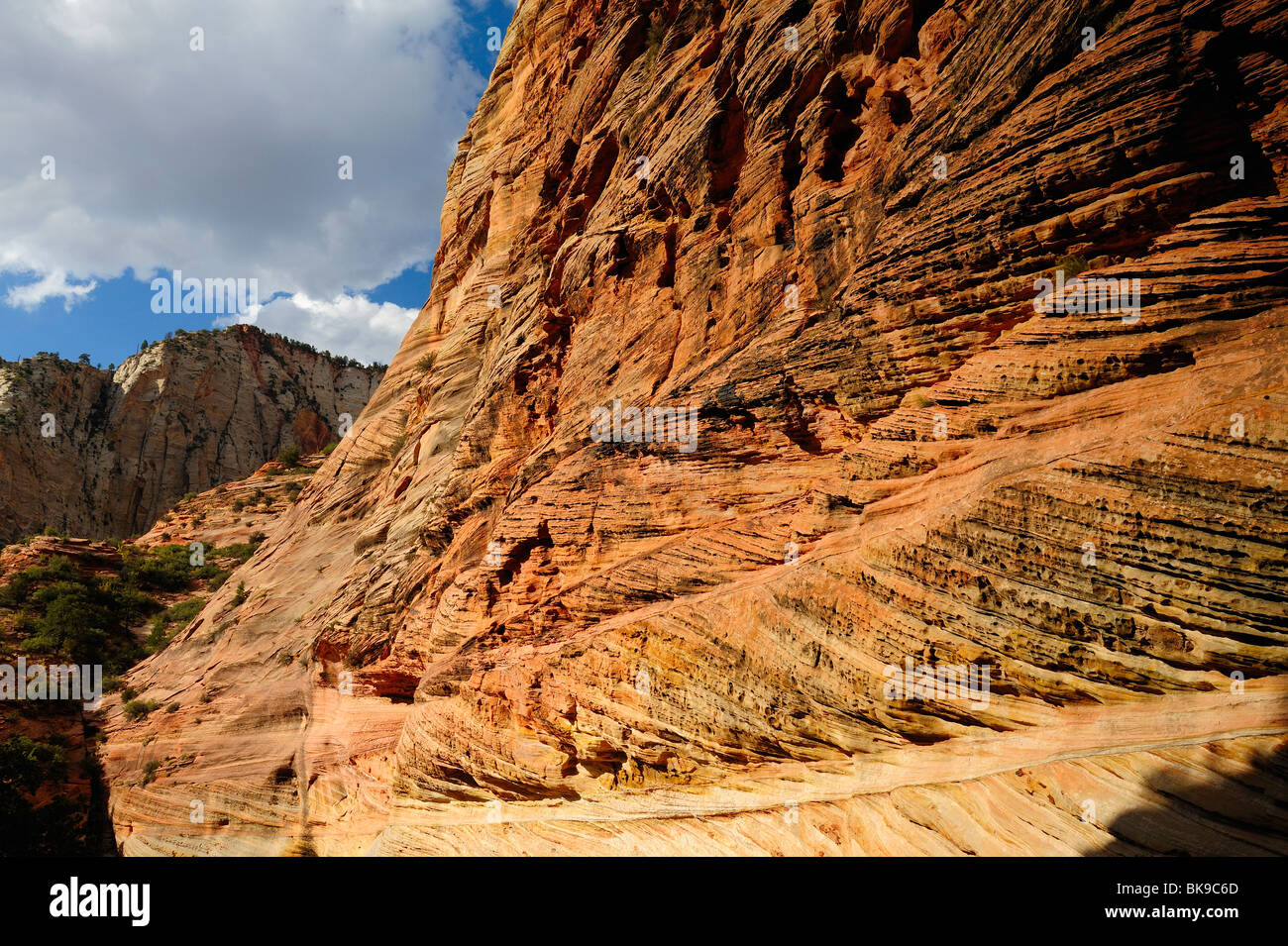 Felsen auf dem Weg zum Aussichtspunkt im Zion Nationalpark, Utah, USA Stockfoto
