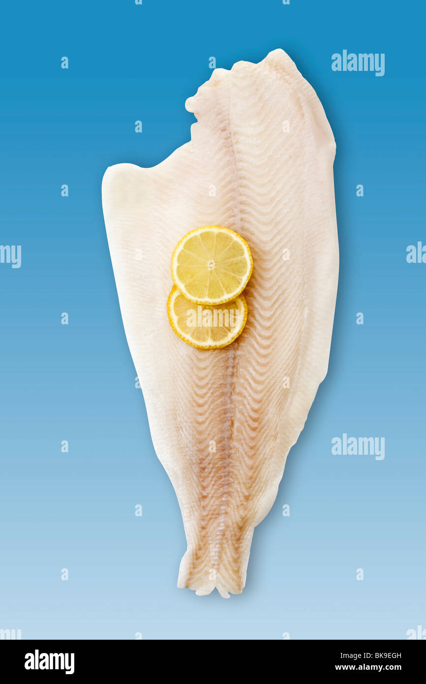 Heilbutt fisch -Fotos und -Bildmaterial in hoher Auflösung – Alamy