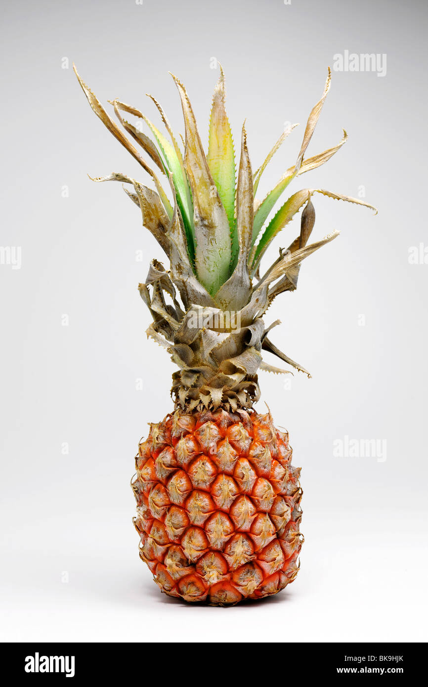 Ananas Stockfoto