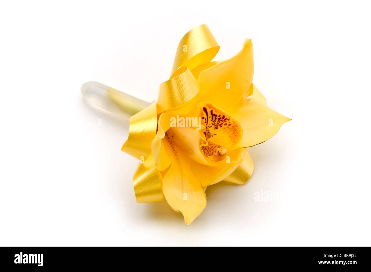 Orchidee auf weiß Stockfoto