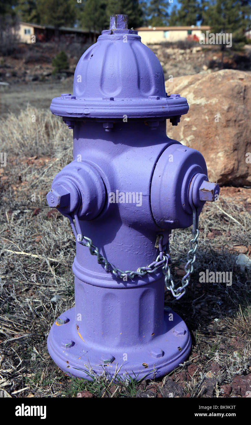 Hydranten lackiert lila in Arizona in den USA Stockfoto