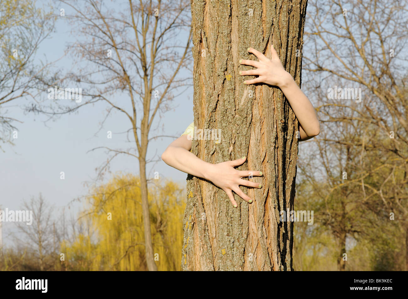 Arme umarmen Baum - Konzept von menschlicher Obhut für den Naturschutz Stockfoto