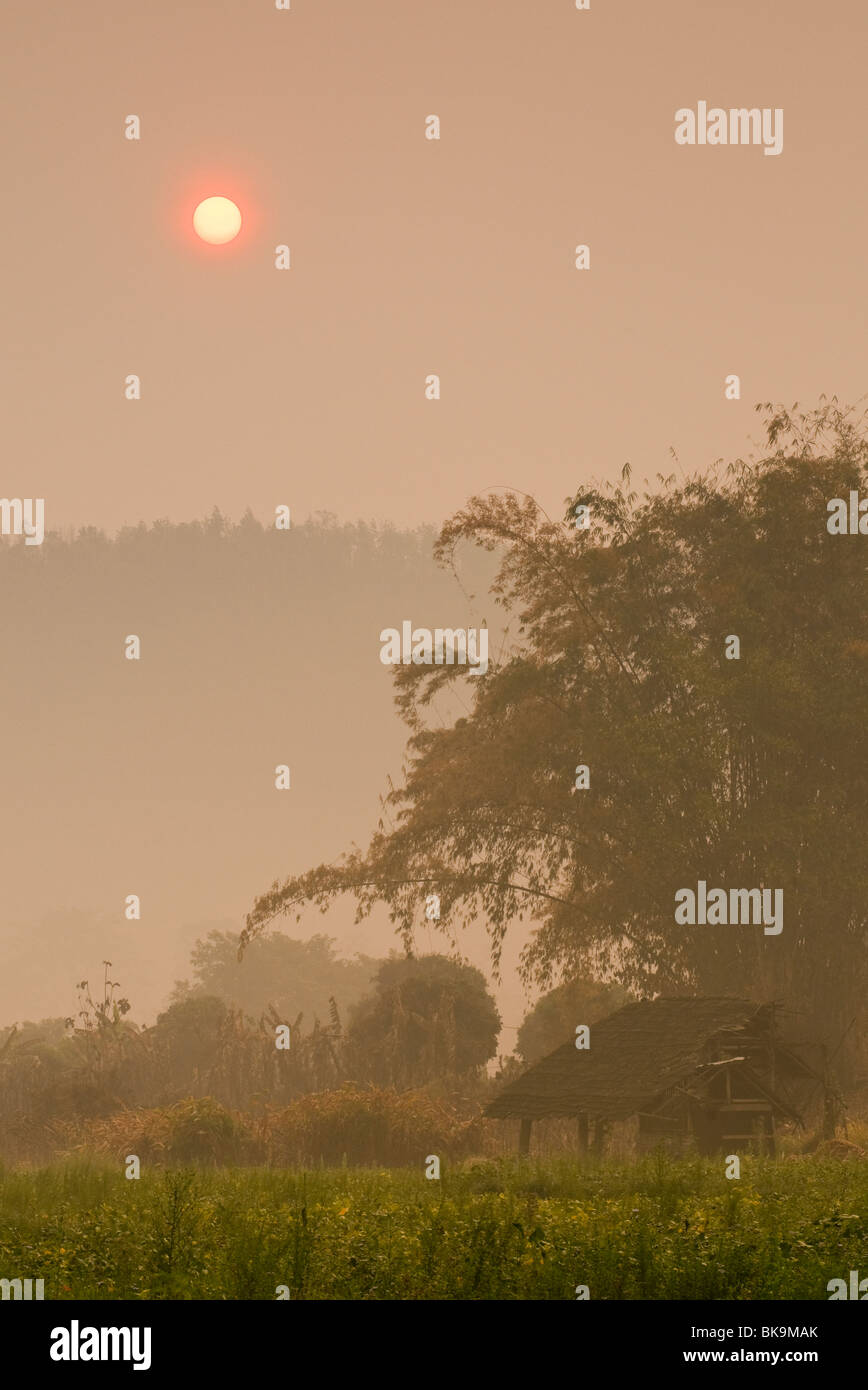Am frühen Morgen Dunst im Himmel aus landwirtschaftlichen brennen; in der Nähe der Lisu Dorf von Sridongyen in der ländlichen Provinz Chiang Mai, Thailand. Stockfoto