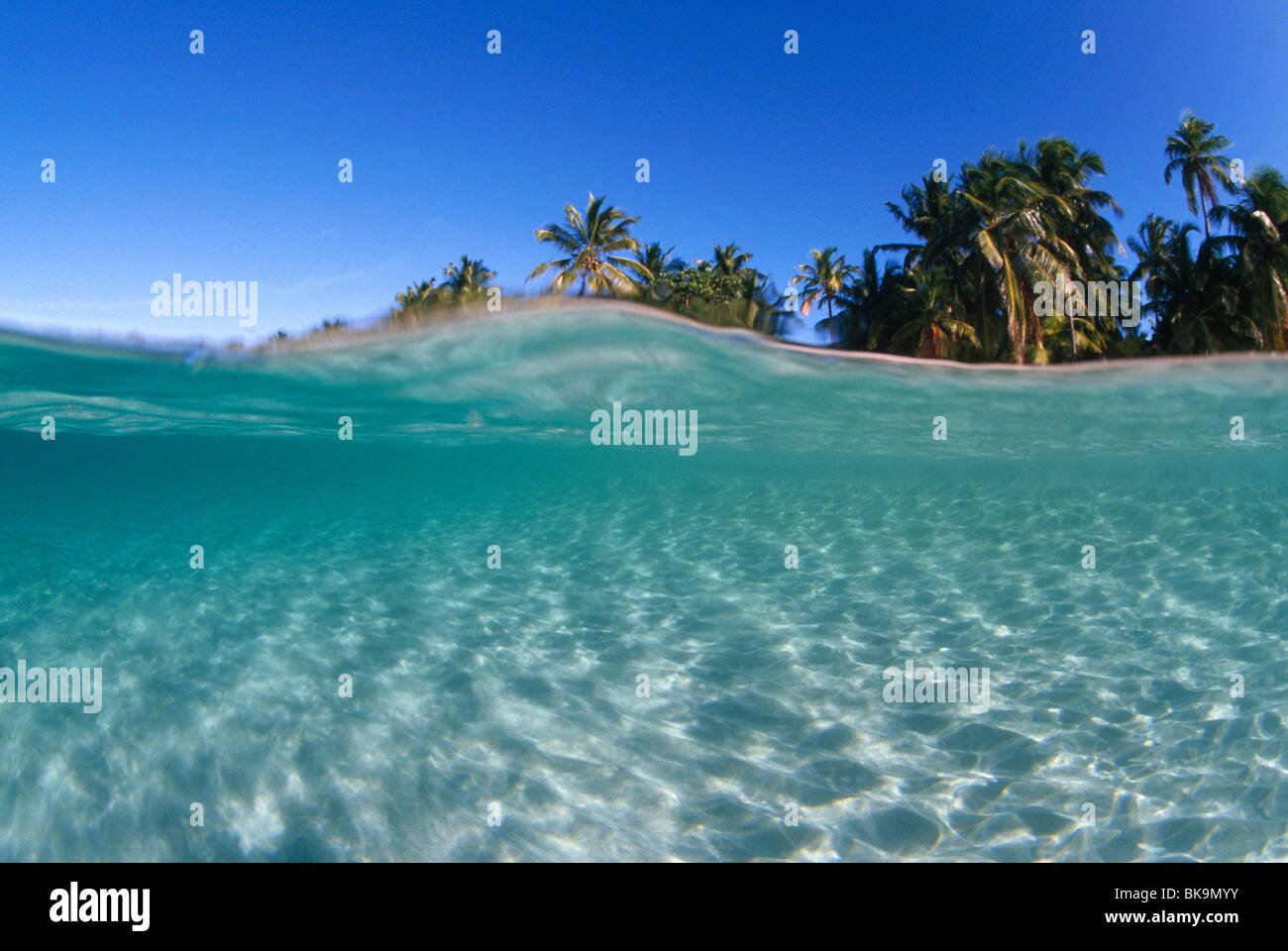 Oben unter Ansicht Tabiyana Strand Roatan Honduras Caribbean Stockfoto