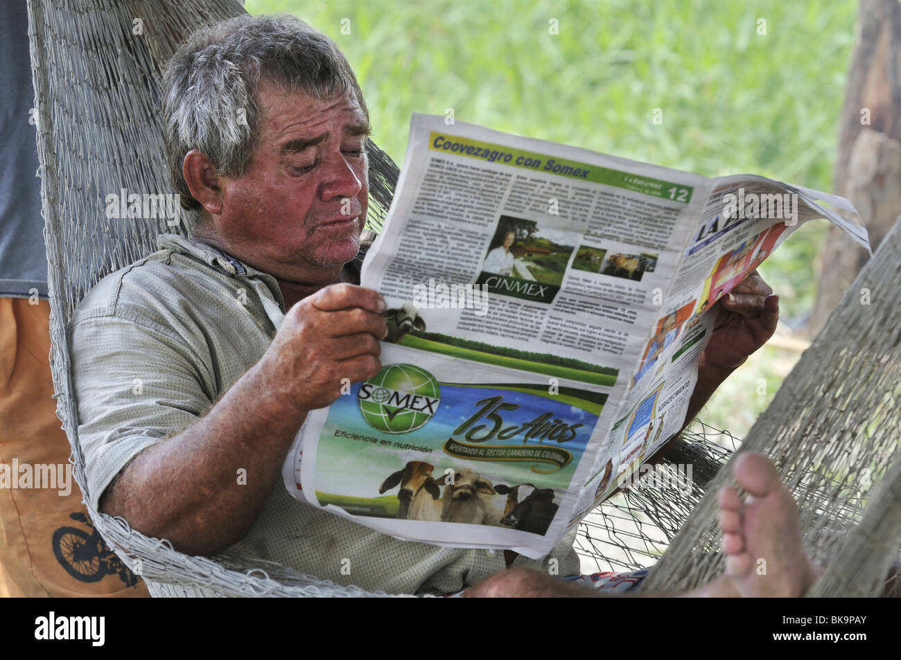 Mann liest eine Zeitung in einer Hängematte, La Dorada, Caldas, Kolumbien, Südamerika Stockfoto