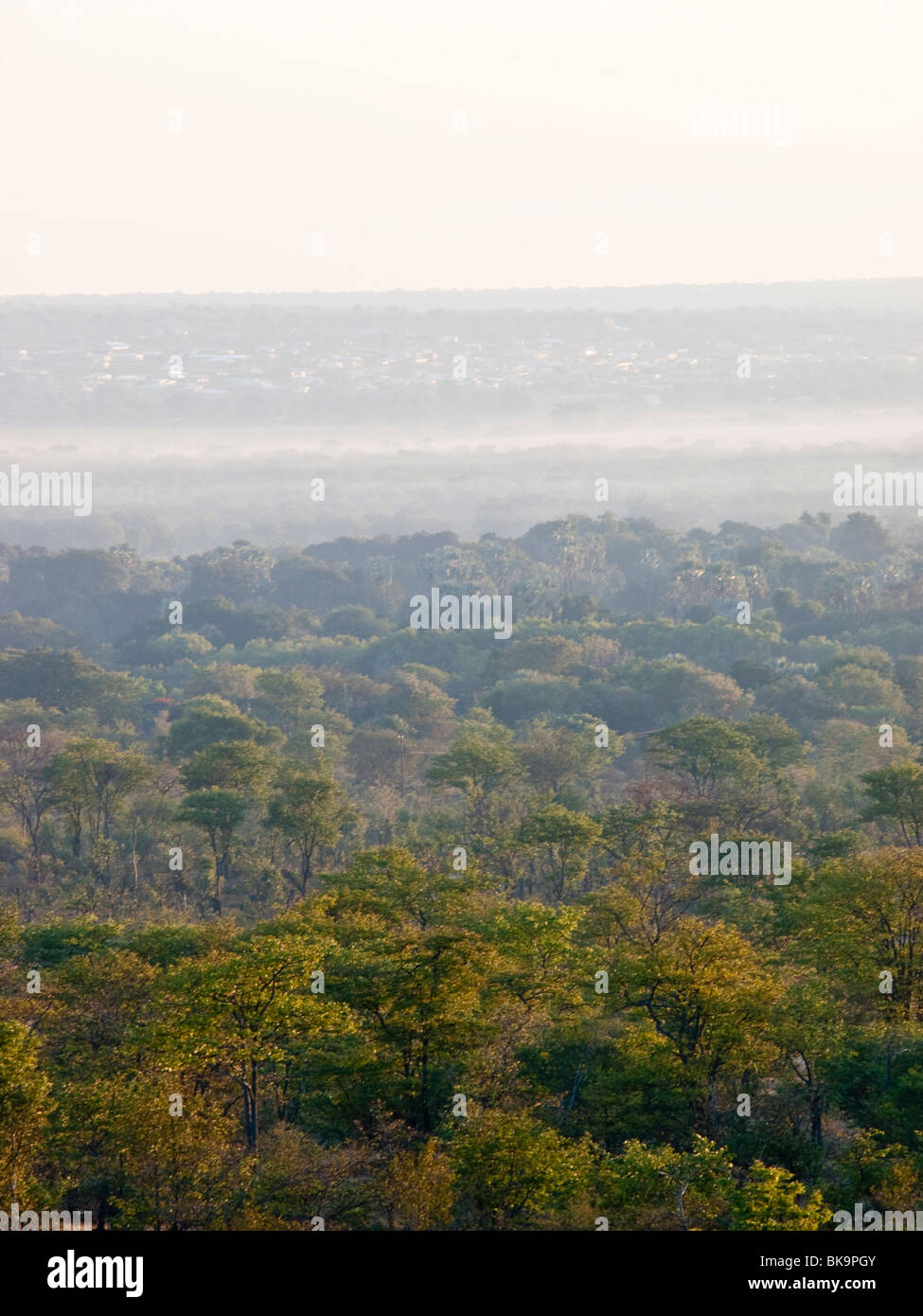 Sonnenaufgang in der Nähe der Wasserstelle, Hwange Nationalpark, Simbabwe Stockfoto