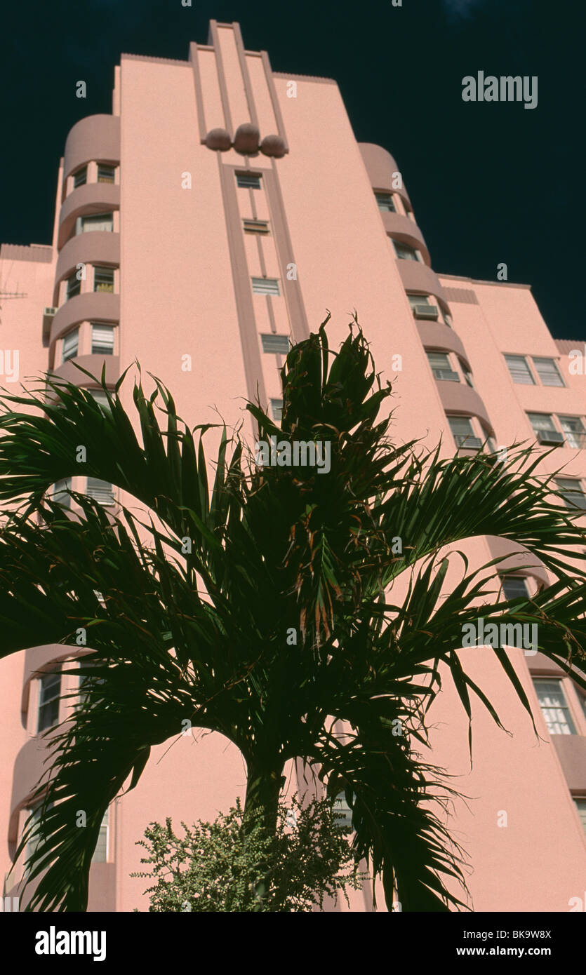 Hohes Gebäude mit Palme im Vordergrund, USA, Florida, Miami Beach Stockfoto