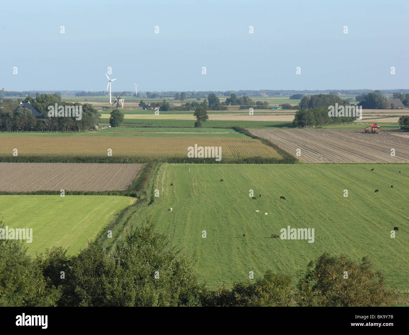 Uitzicht Vanaf de Zeedijk in Het Akkerbouwgebied van Ferwerderadeel Stockfoto