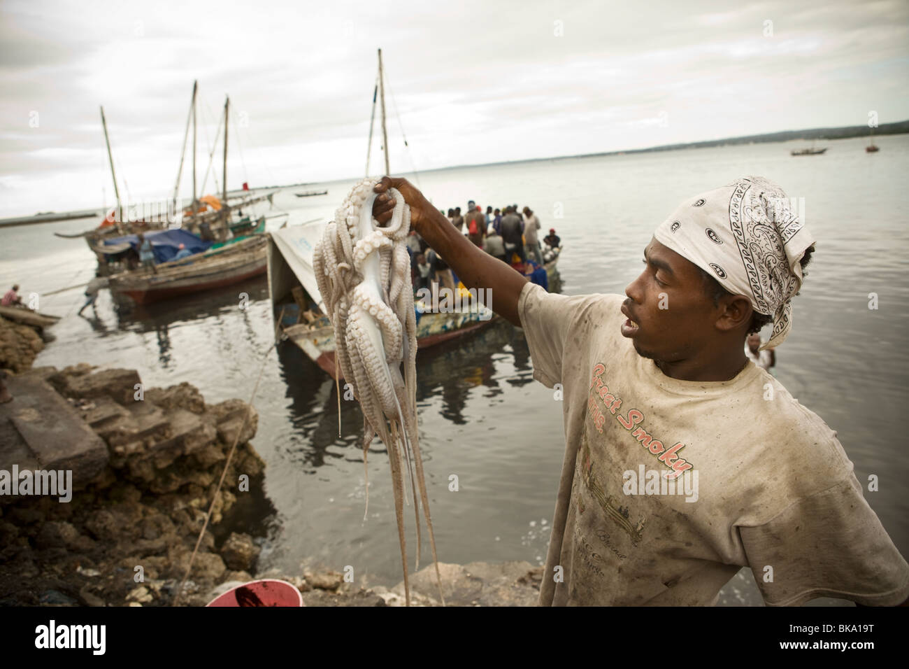 Männer Reinigung Oktopus in der Hafen - Stonetown, Sansibar, Tansania. Stockfoto