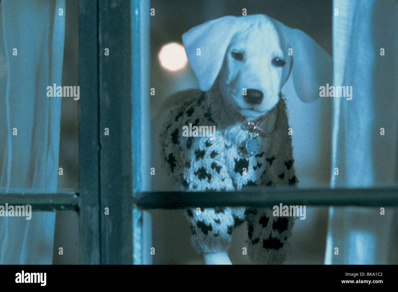 102 DALMATINER (2000) CREDIT DISNEY OTWD 001-36 Stockfoto