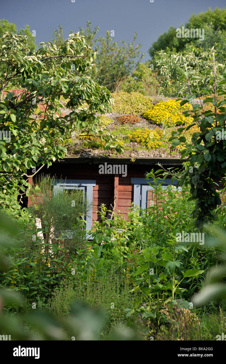 Garten Haus mit grünem Dach in einem natürlichen Garten Stockfoto