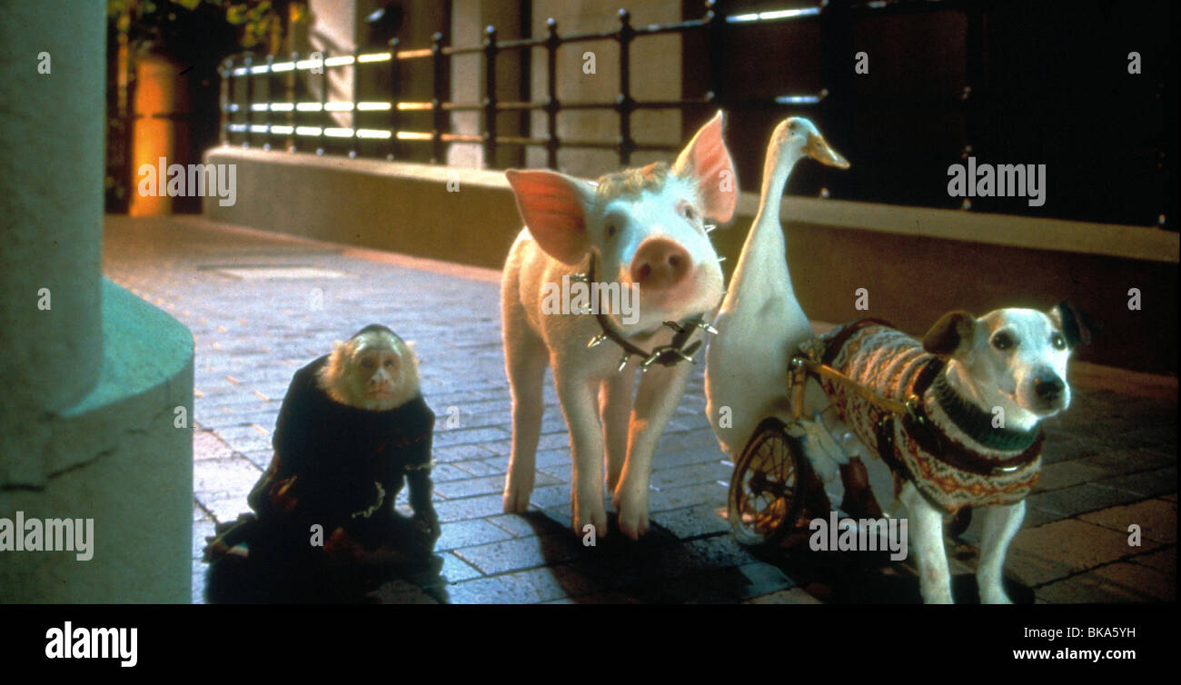 BABE: PIG IN THE CITY-1998 Stockfoto