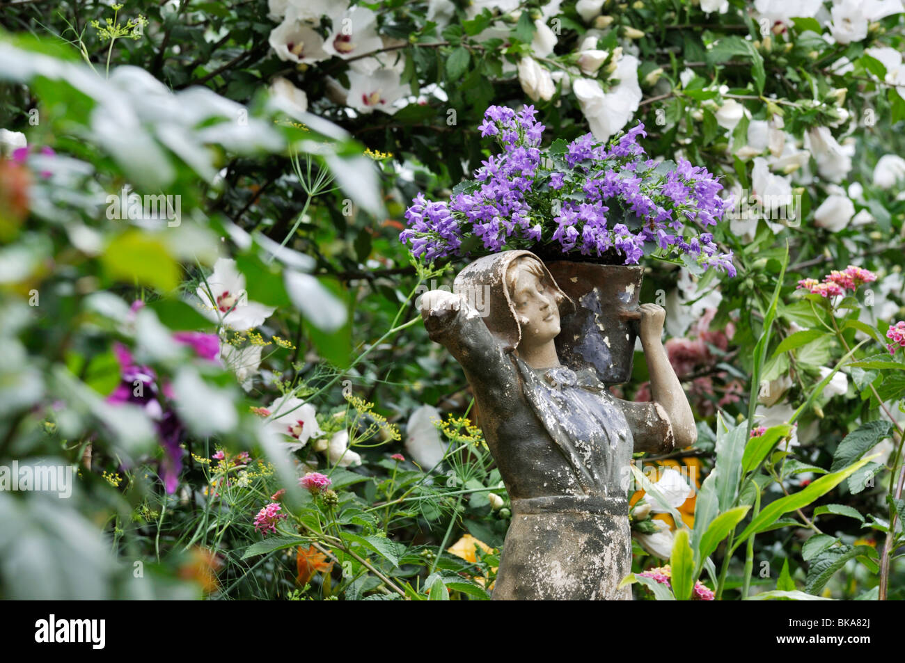 Glockenblume (Campanula) mit weiblichen Figur. Design: Jutta wahren Stockfoto