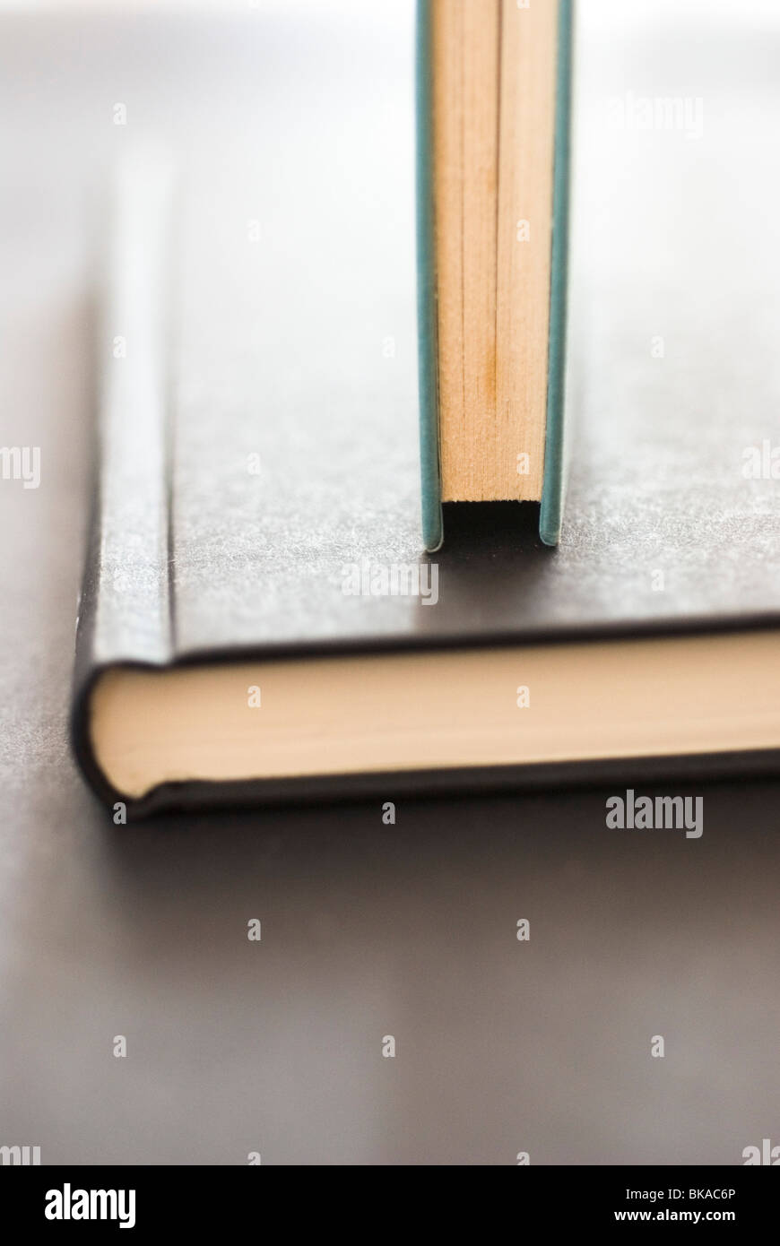 Buch, Wirbelsäule Stockfoto