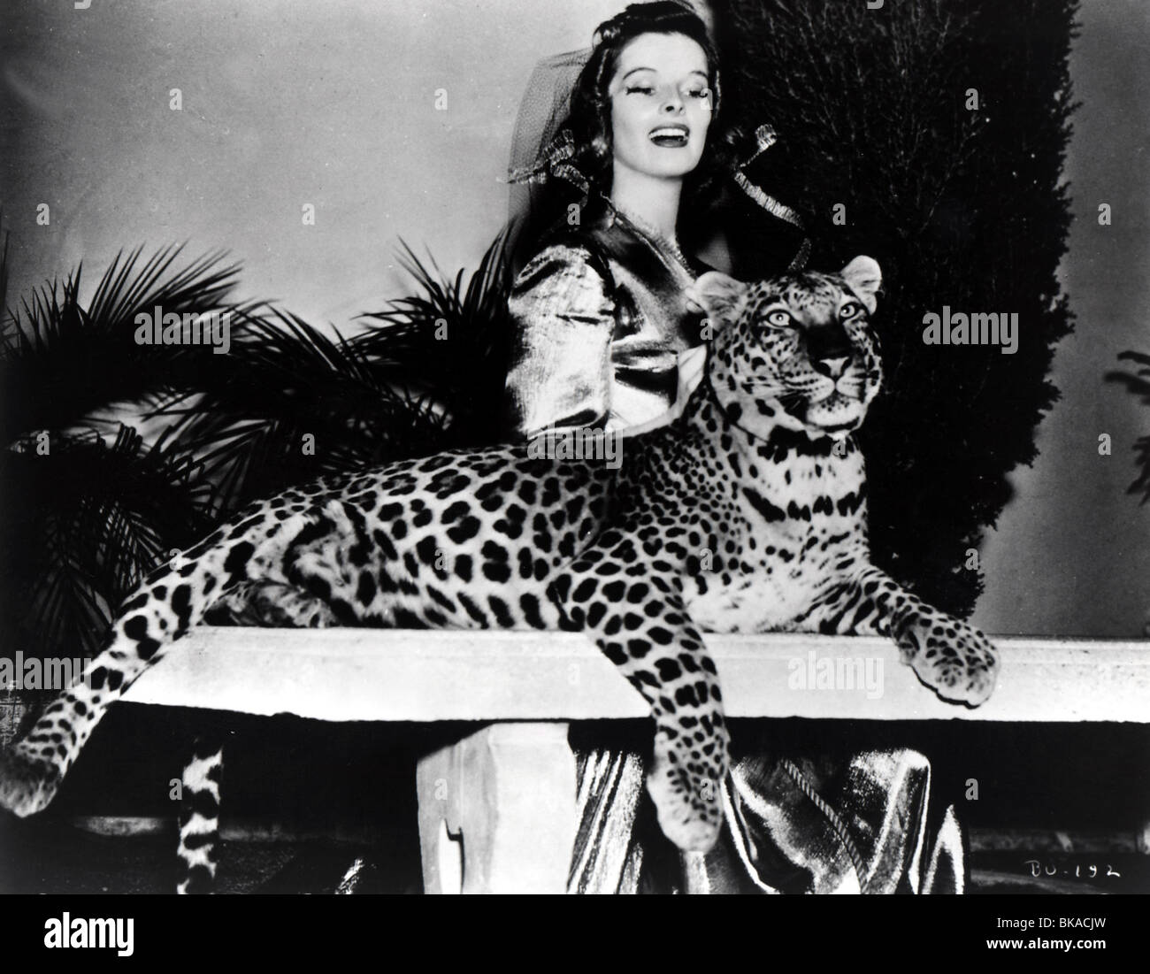 BRINGING UP BABY (1938) KATHARINE HEPBURN LEOPARD BUB 011P Stockfoto