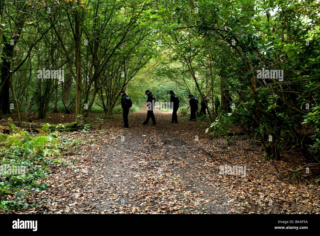 Helen Year: 2010 UK / Irland-Regie: Joe Lawlor, Christine Molloy Stockfoto