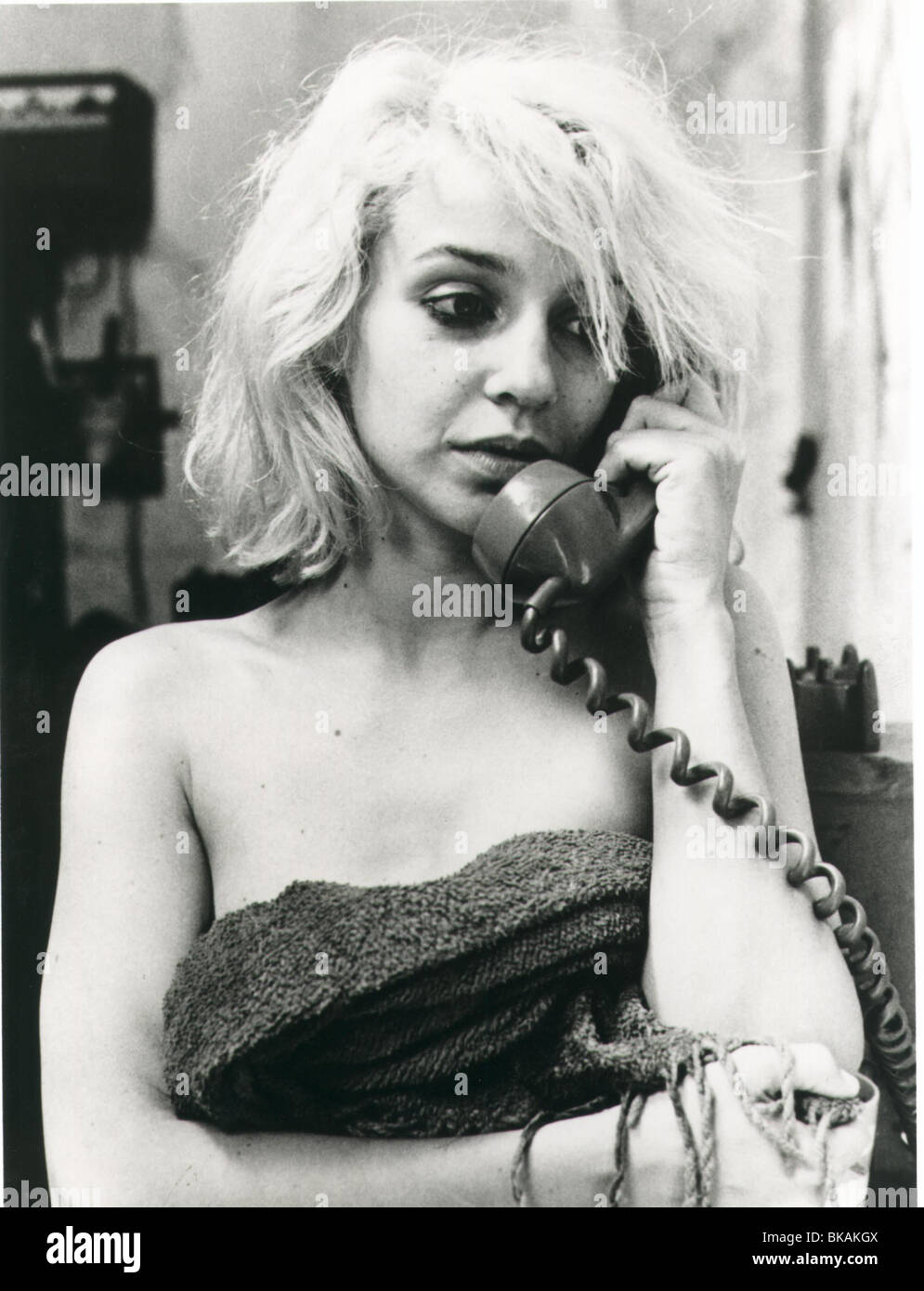 HUNDE IM RAUM-1986 SASKIA POST Stockfoto