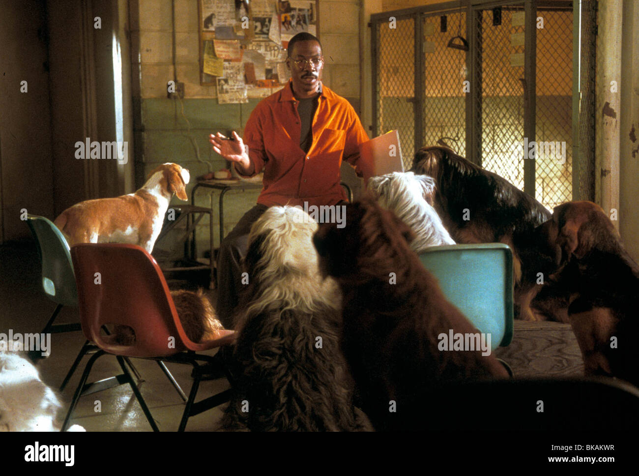 DR. DOLITTLE 2 (2001) EDDIE MURPHY DRD2 010 Stockfoto