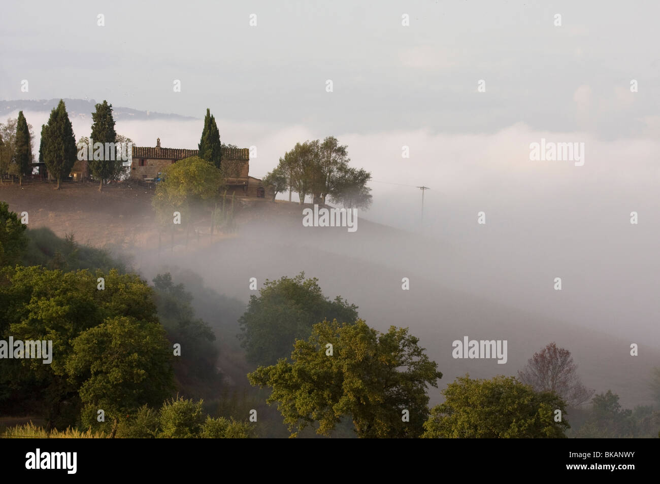 Morgennebel in Toskana, Italien Stockfoto